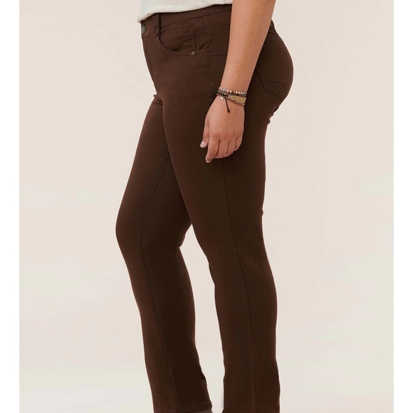 DEMOCRACY Ab"solution® Plus Size Patriot Straight Leg Jeans. - Picture 3 of 12